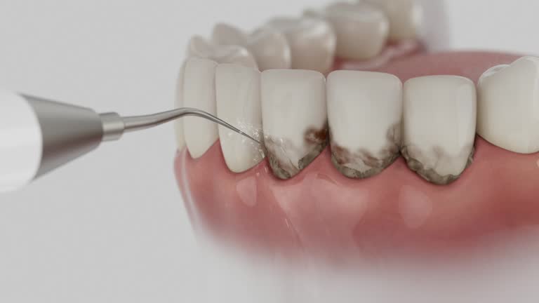 Reliable Dental contractor in Wesley Chapel, FL by Dentist Open Now